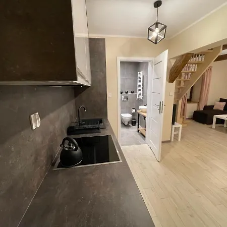 Dwie Lipy Wakacyjne Holiday home