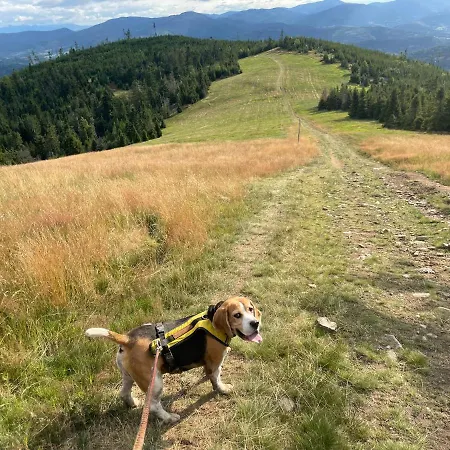 Dwie Lipy Wakacyjne * Zlatna