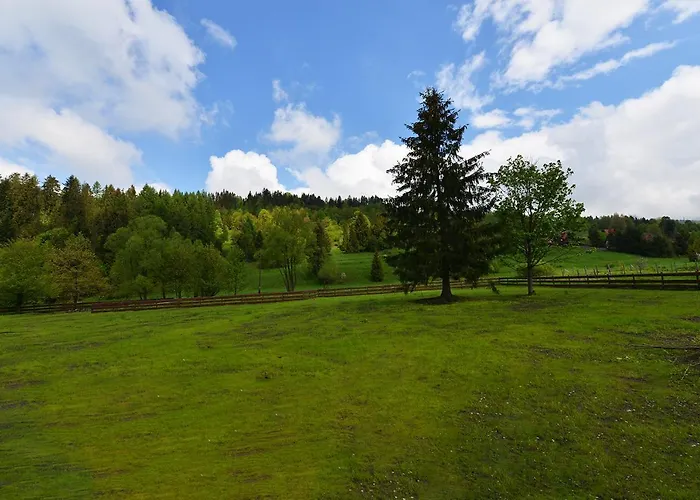 Dwie Lipy Wakacyjne Zlatna